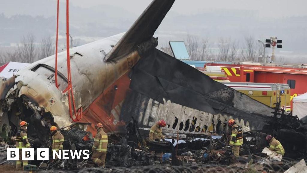 South Korea orders air safety probe after plane crash that killed 179