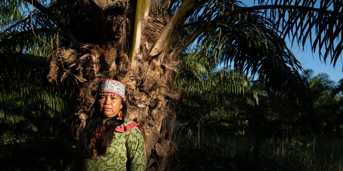 A palm oil company, a group of US financiers, and the destruction of Peru's rainforest