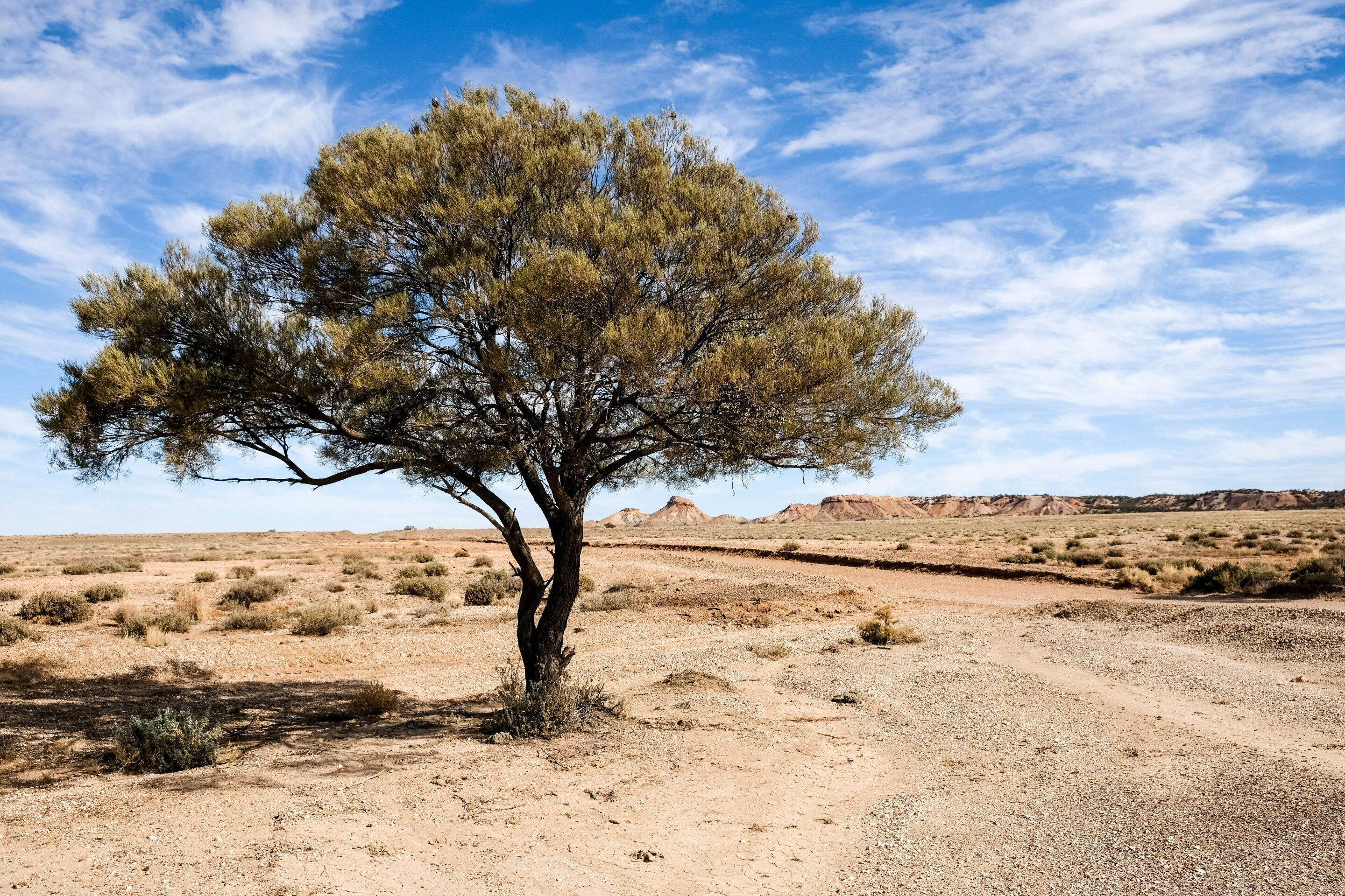 Machine learning framework improves groundwater recharge estimates in Western Australia