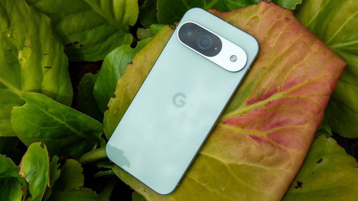 Forget the S25, you can still score $400 OFF the Google Pixel 9 with this leftover holiday deal