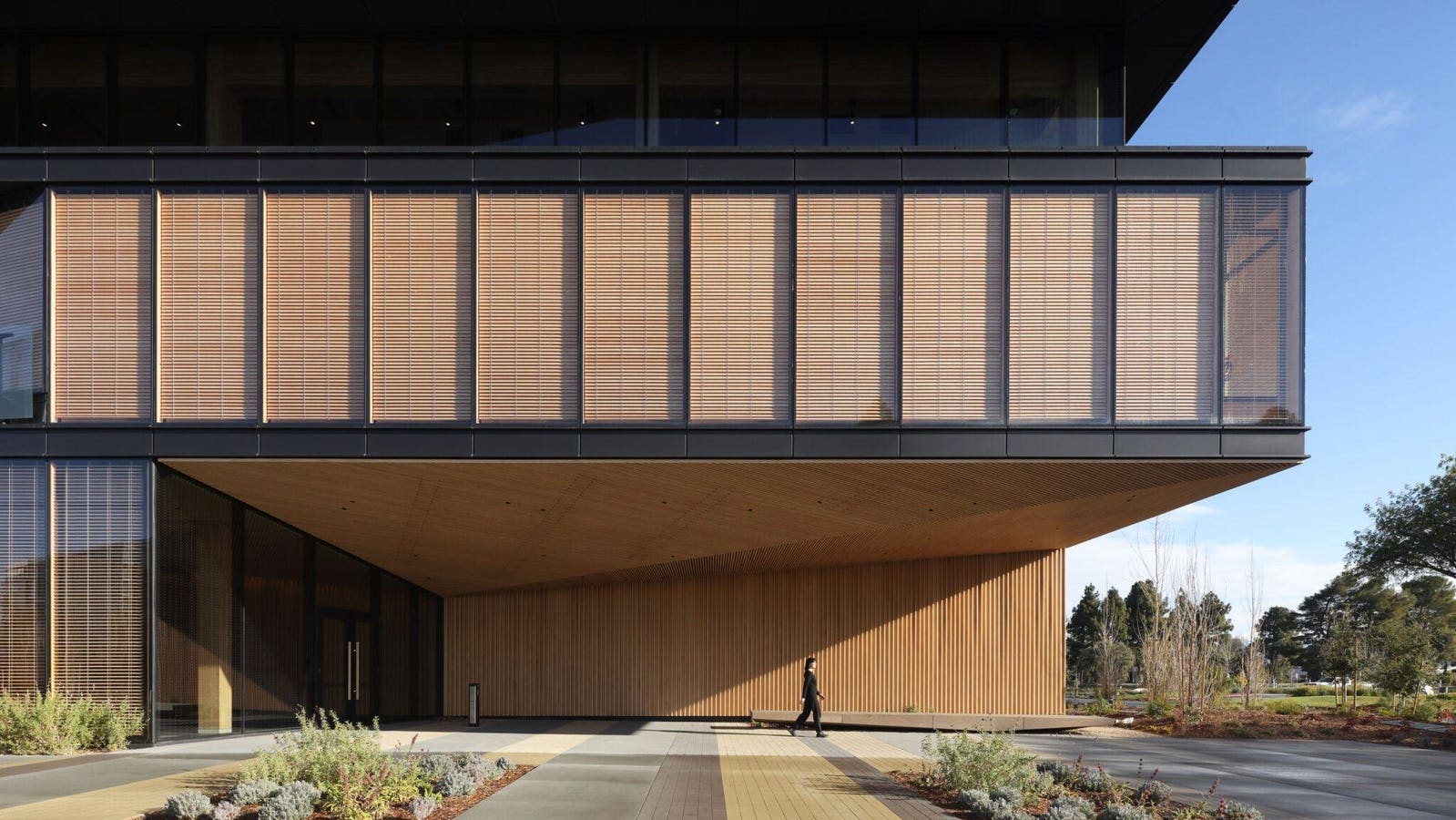 Going Against The Grain With Mass Timber Structures