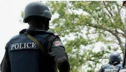 Accidental discharge kills mother of one in Ekiti