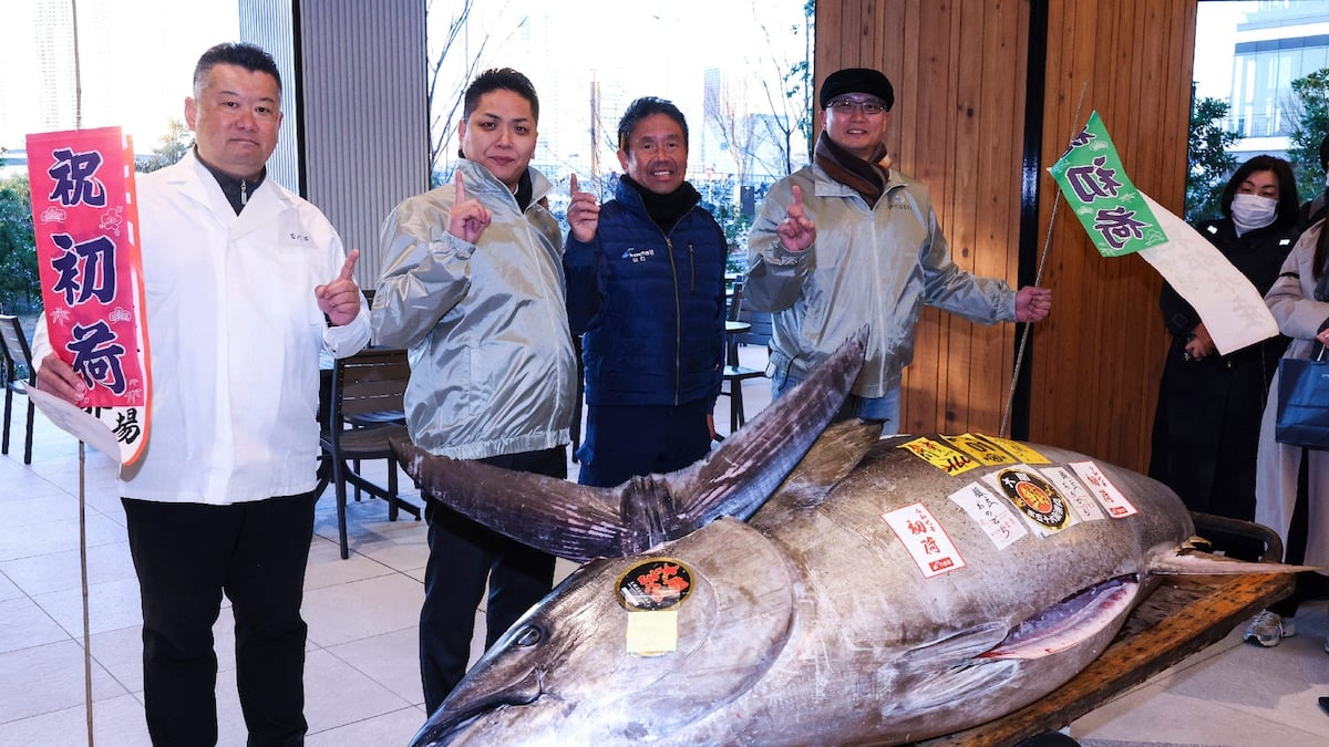 "Motorbike-Sized" Tuna Sells For More Than Rs 11 Crore At Tokyo Auction