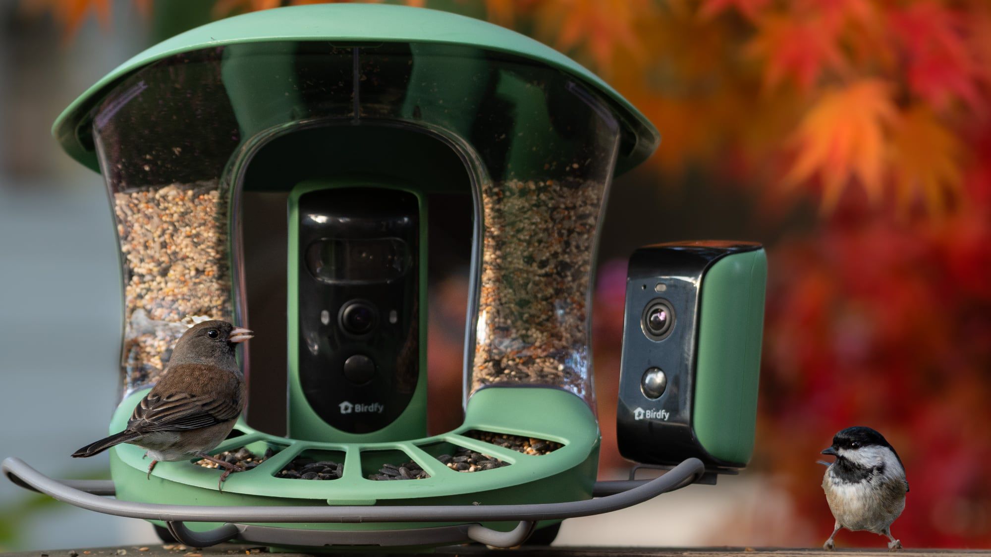 Birdfy Debuts Camera-Equipped Bird Bath and Multi-Camera Bird Feeder