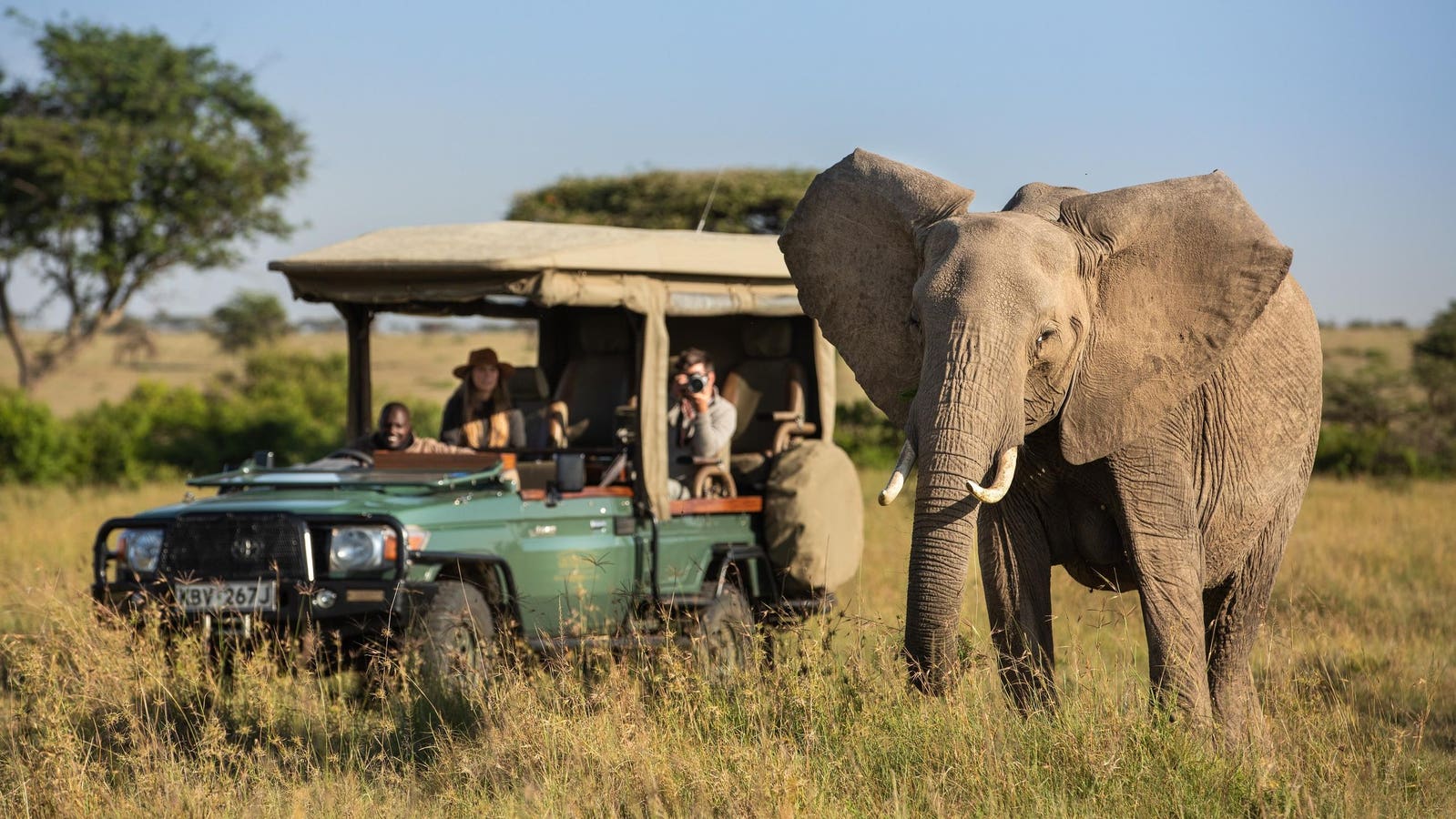 Discover The Beauty Of The Maasai Mara At This Luxury Safari Lodge