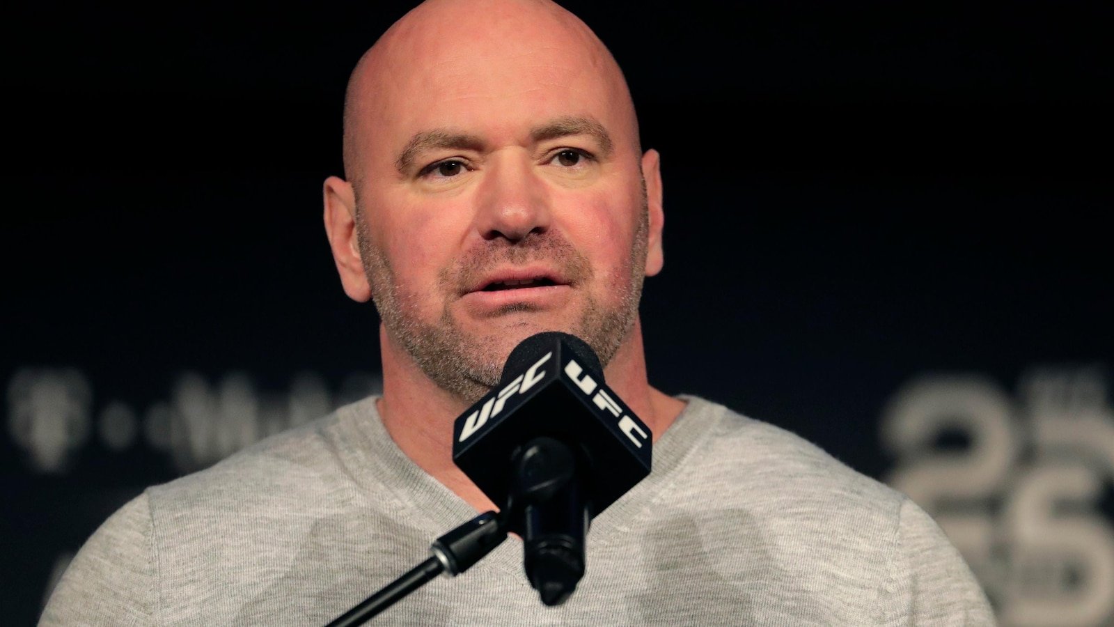 Meta adds three board members including UFC boss Dana White