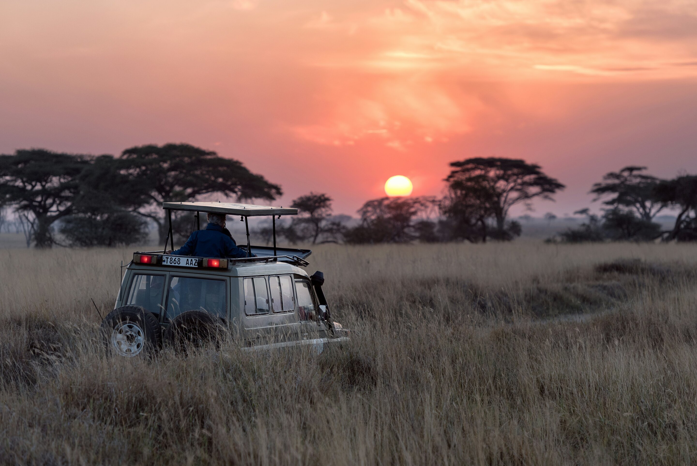 Conservationists share what Africa needs to do to meet biodiversity targets