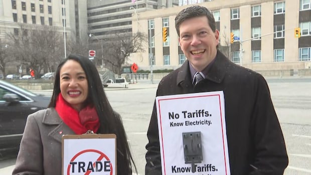 2 Toronto-area councillors to launch anti-tariff ads during Trump's presidential inauguration