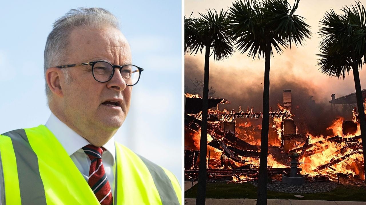 Albanese lashes Dutton over the LA fires