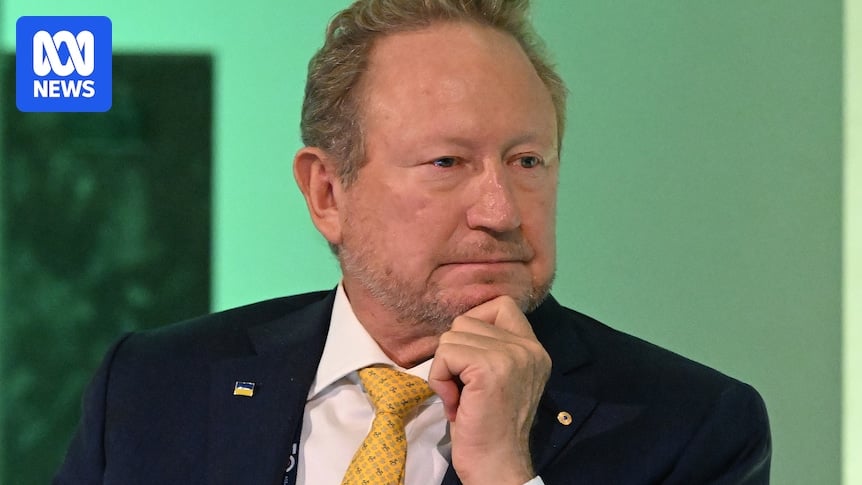 Andrew Forrest charity IEJF named in ExxonMobil defamation lawsuit