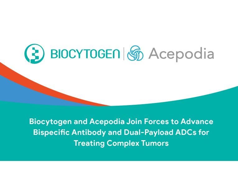 Biocytogen and Acepodia Join Forces to Advance Bispecific Antibody and Dual-Payload ADCs for Treating Complex Tumors