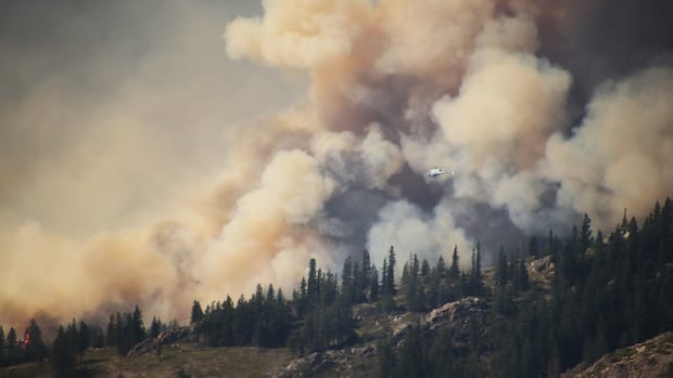 Canadian forests primed for more severe wildfire days, new research warns