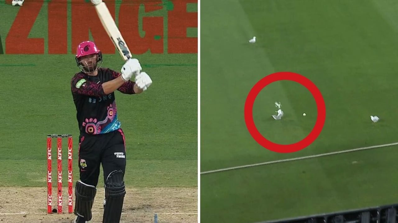 Cricket star kills seagull in horror scenes