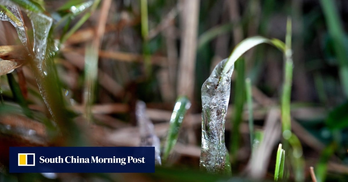 Hongkongers can expect frost on high ground, New Territories on Sunday