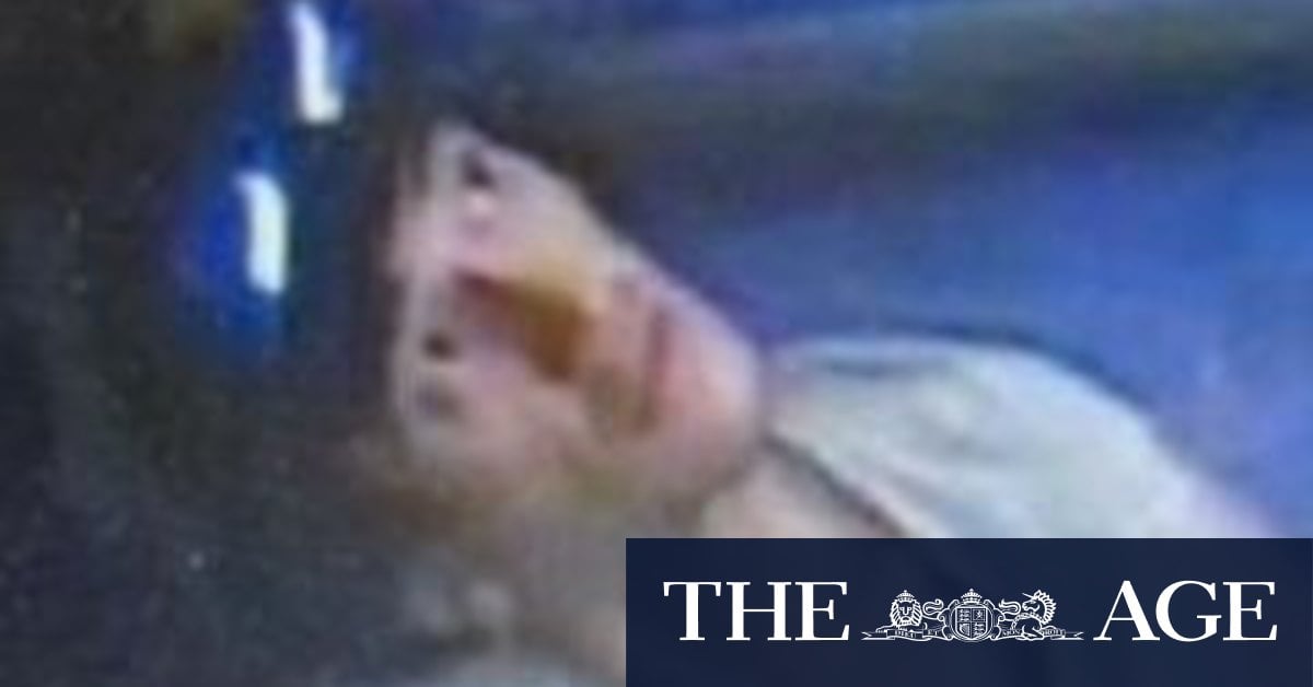 Images of man in Brisbane bus incident released by police