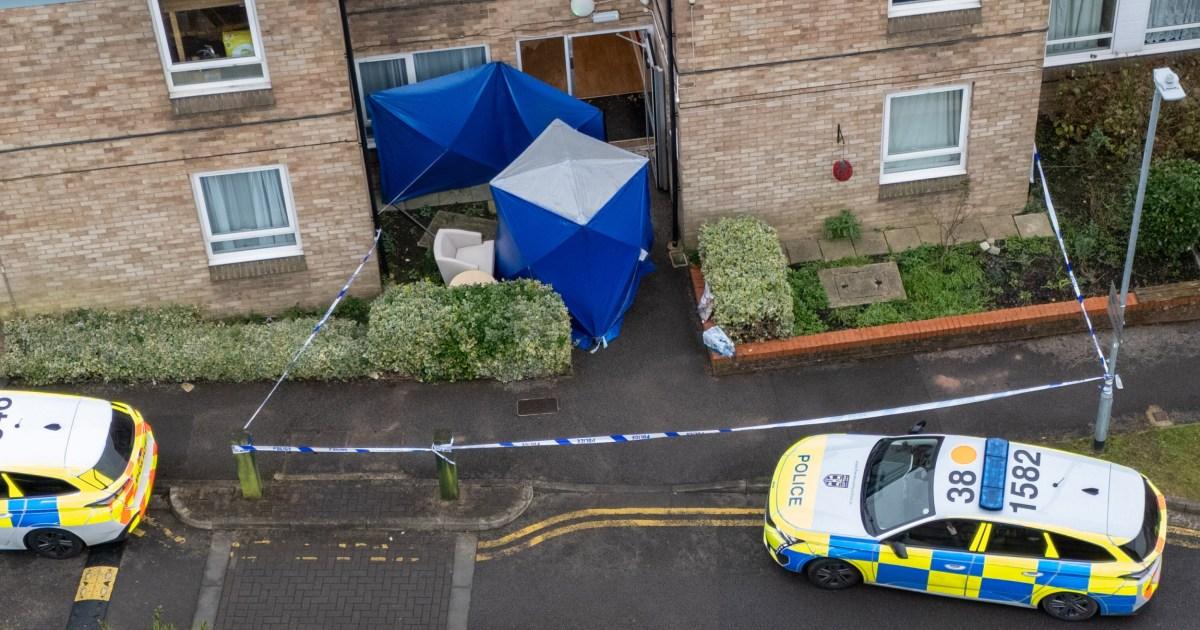 Man, 80, arrested on suspicion of murdering another pensioner inside flat