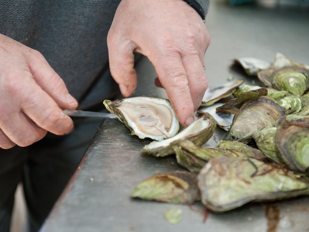 P.E.I. oyster industry calls for help as fears grow over MSX parasite