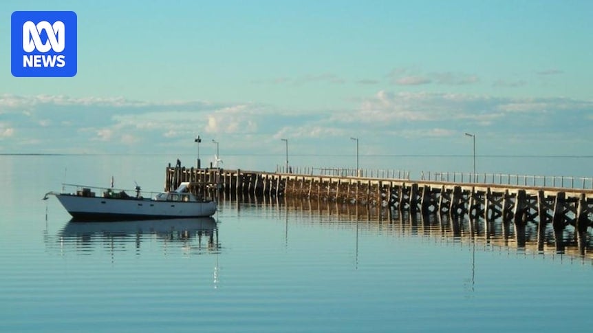 Search underway after surfer taken by shark off SA's West Coast