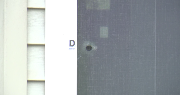 Surrey home perforated with bullets in overnight shooting