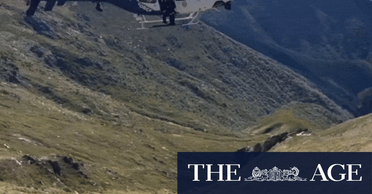 The stunning moment hikers found Hadi on a hillside in Kosciuszko