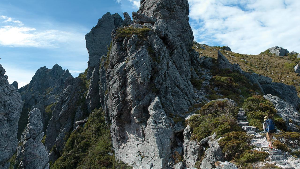 Third bushwalker dies in horror week