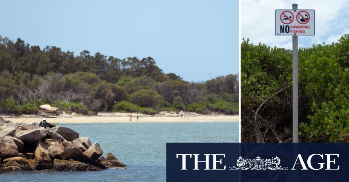 This Sydney beach is closed over cancer-causing chemicals. Many people are missing the signs