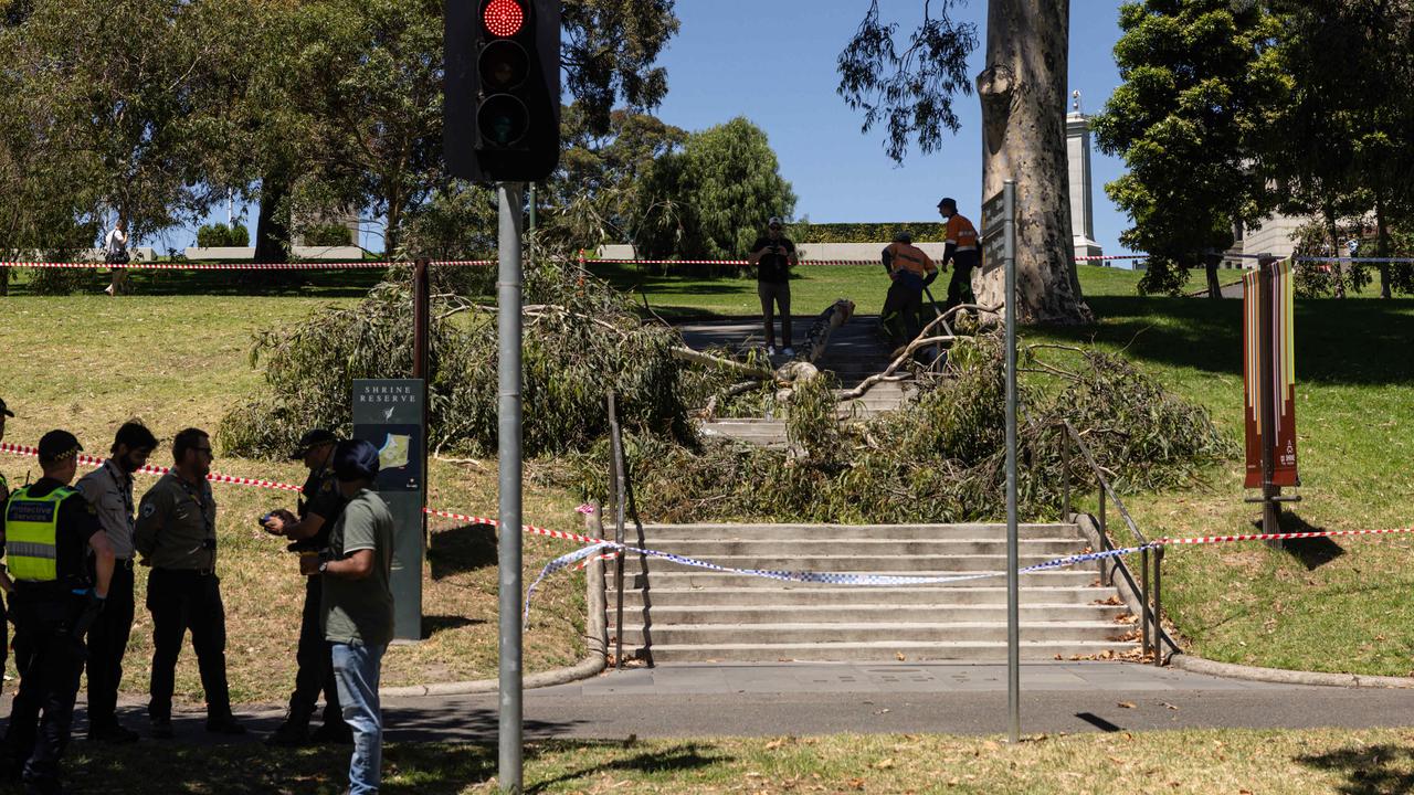 Two struck by falling tree branch at NYE site