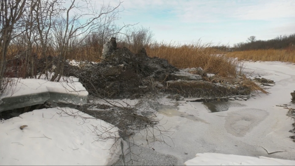 'Unacceptable': Removal of beaver dam in Manitoba community sends surge downstream