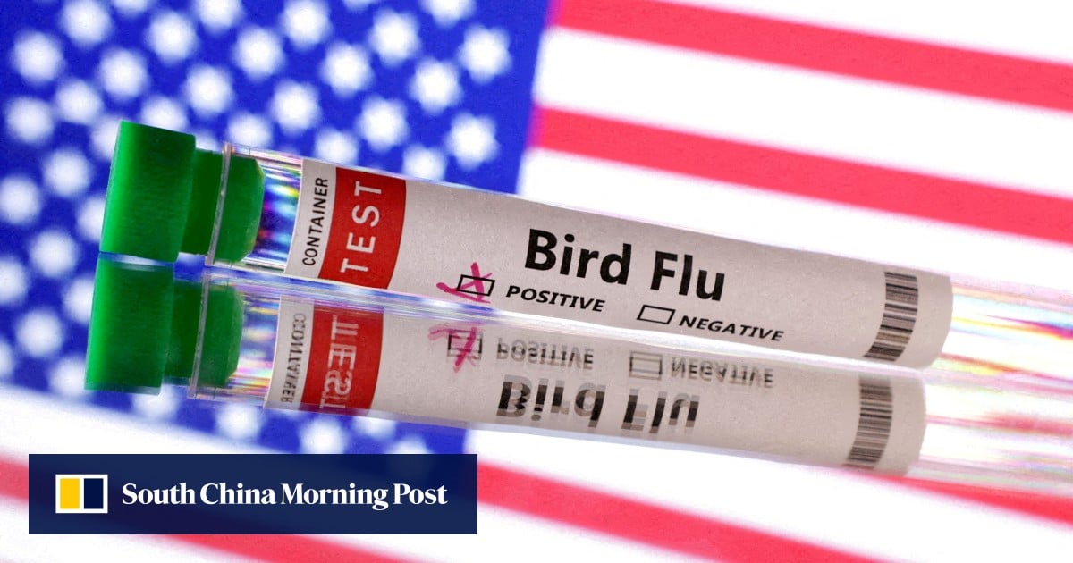 US allocates US$306 million in new bird flu funding before Trump takes office