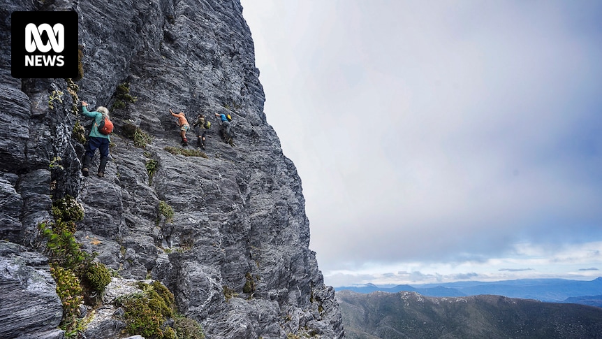 Victorian bushwalker dies in fall at Tasmania's Federation Peak in Southwest National Park