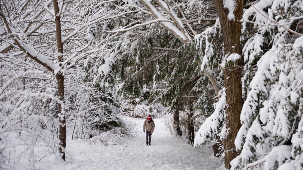 What to know about the winter storms blanketing Canadian provinces