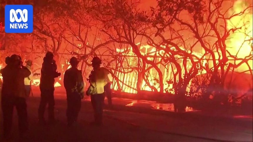 Wildfires burn through multiple homes in Los Angeles