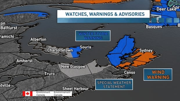 Winter storm could bring 100 centimetres of snow to Cape Breton Highlands