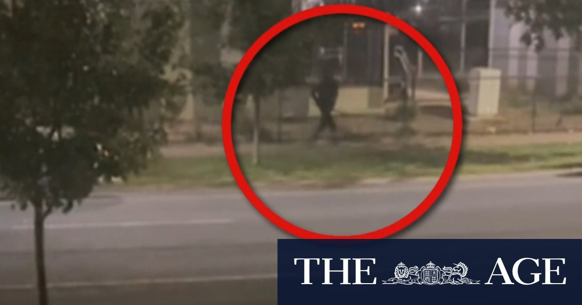 Young man dies after alleged stabbing in Melbourne's west